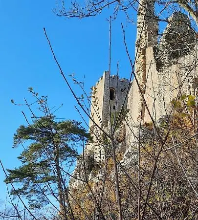Wildgatter * Grafenwiesen