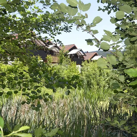 Wildgatter Apartmán Grafenwiesen