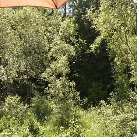 Wildgatter Grafenwiesen