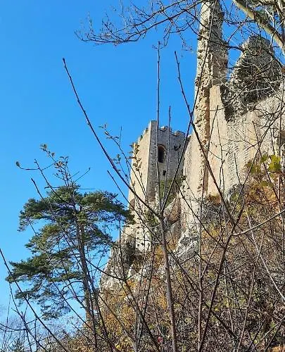 Wildgatter * Grafenwiesen